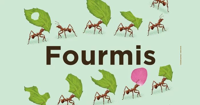 Fourmis