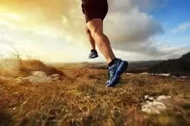 Trail "Montée de Gaston"