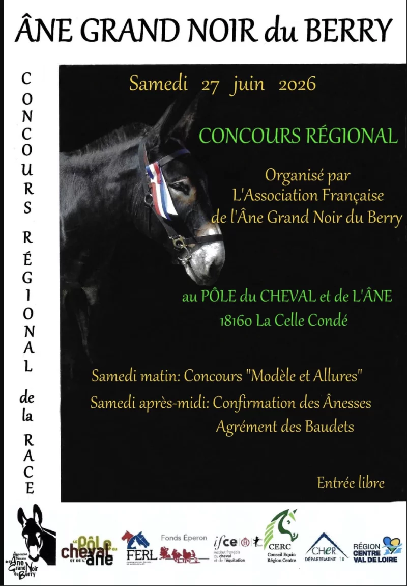Concours régional Ane Grand Noir du Berry