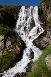 Exposition : La magie de l'eau