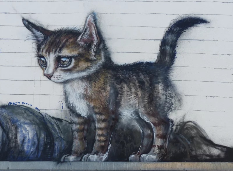 Exposition à Laon : "Chat, chat, chats !"