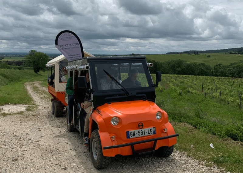 [Eco-circuit ]: promenade en golfette et dégustation dans les vignes