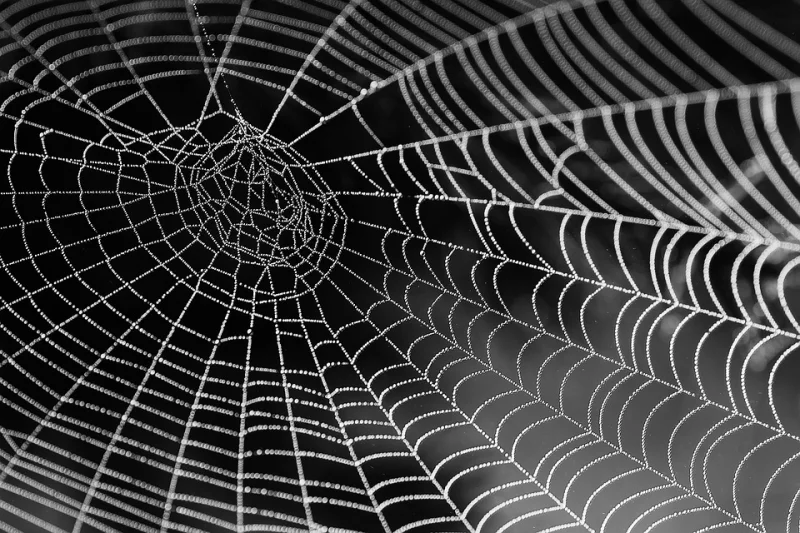 Halloween : balade et repas
