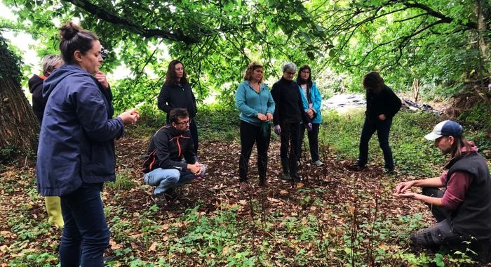 Stage 1 jour : Concevoir un jardin multi-étagé : le jardin-forêt