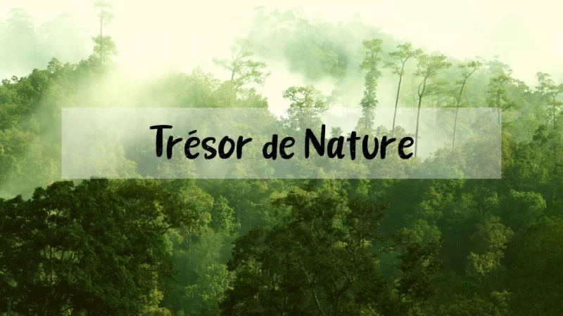 LES TRESORS DE LA NATURE