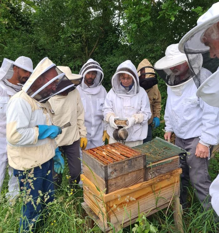 Conférence consacrée à l'apiculture naturelle et à l'abeille noire