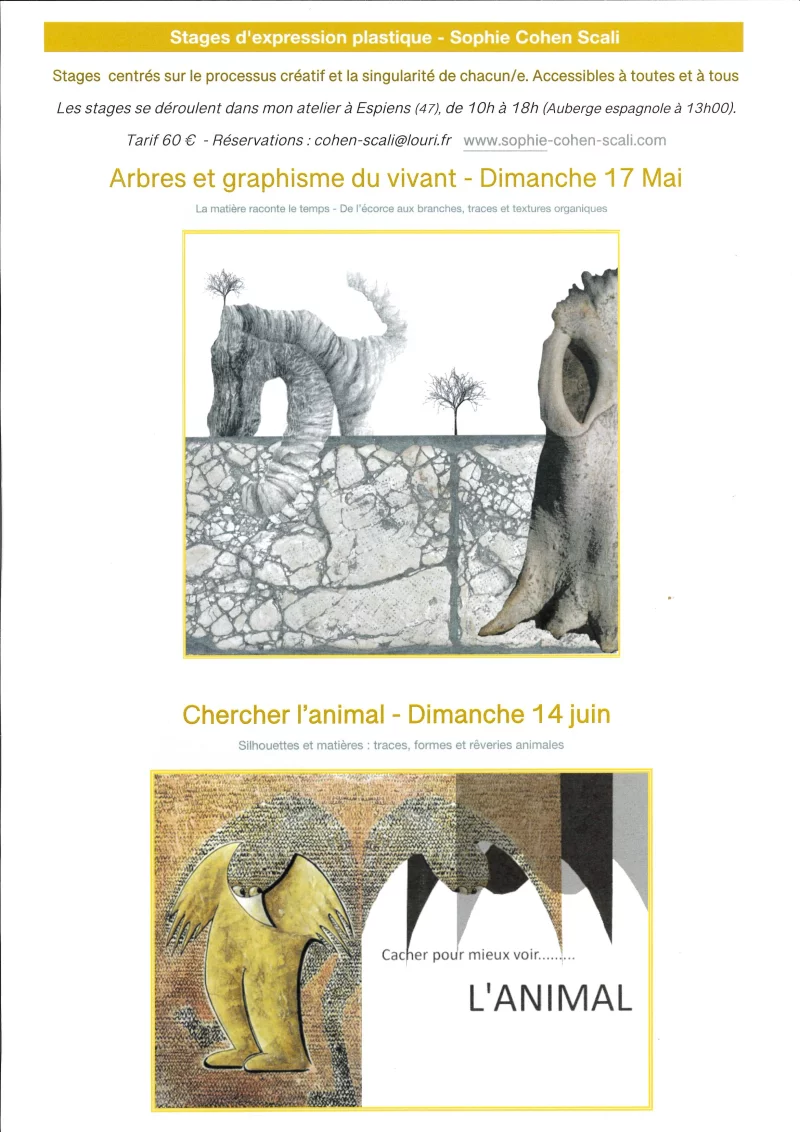 Stage d'expression plastique : Chercher l'animal
