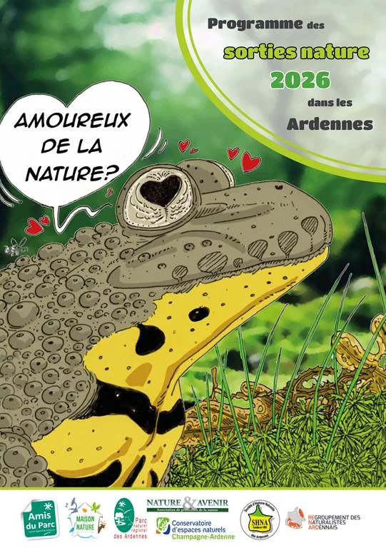 Mycologie, à la découverte des champignons