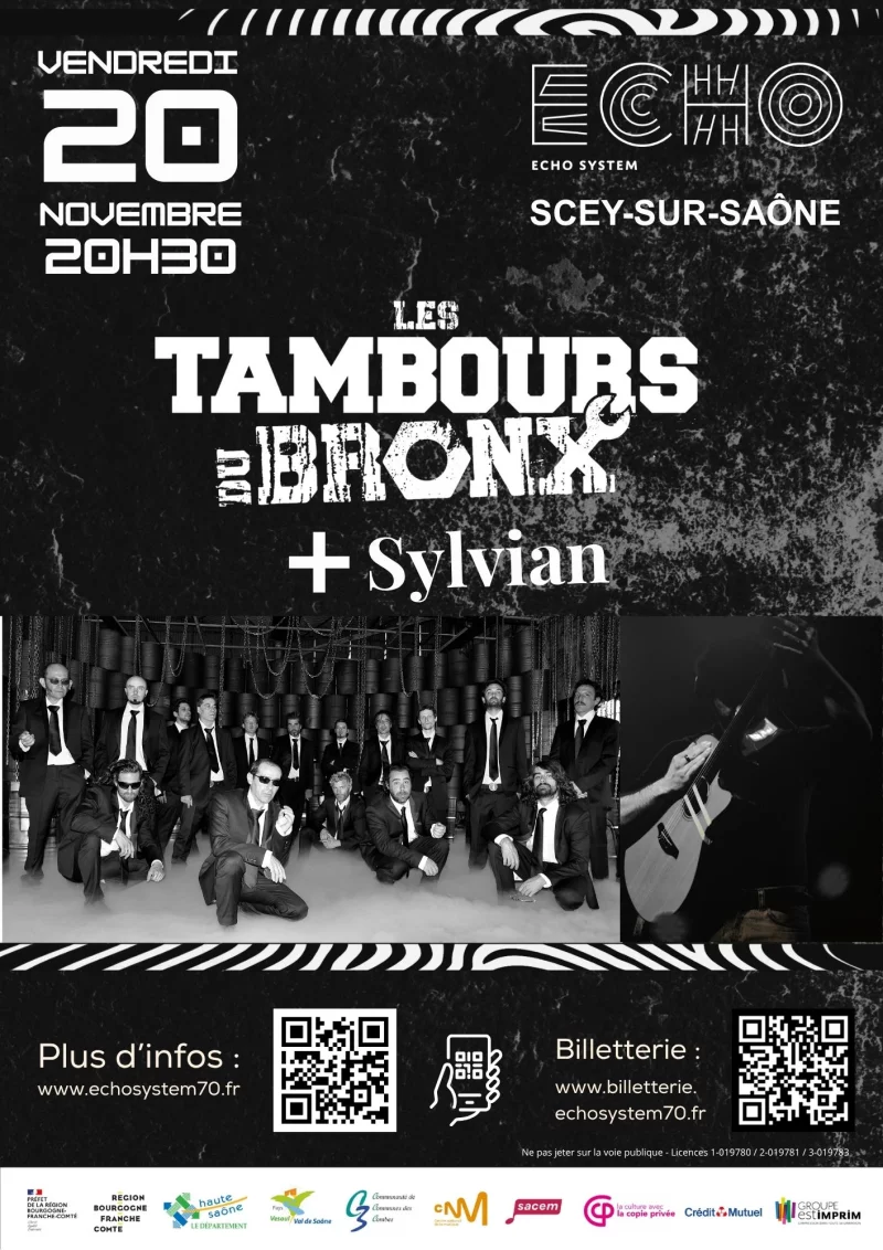 LES TAMBOURS DU BRONX + SYLVIAN