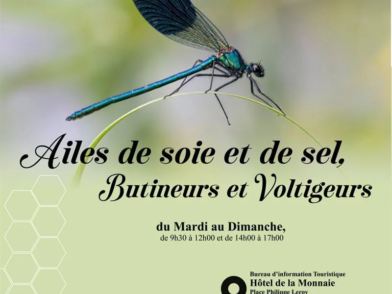 Exposition - Ailes de soie et de sel, butineurs et voltigeurs
