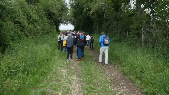 Concert de clôture des Chemins d'artistes