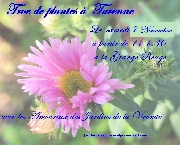 Troc aux plantes