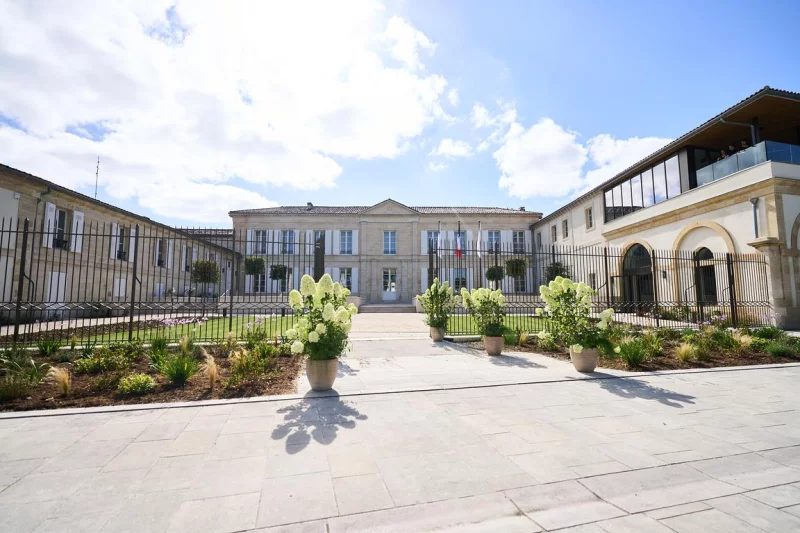 Vignobles en Scène : Immersion sensorielle au Château Grand-Puy Ducasse