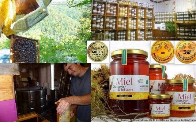 Dégustation à la miellerie