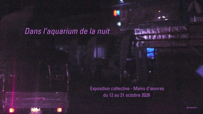 Dans l'aquarium de la nuit