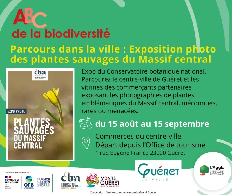 Les plantes sauvages du Massif Central