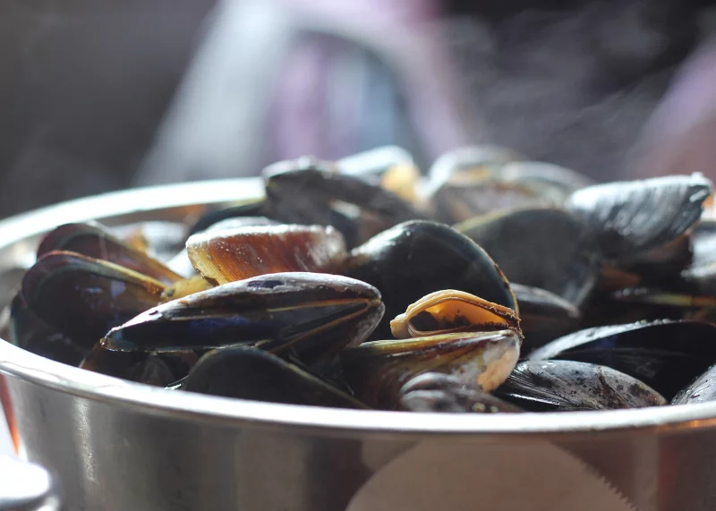 Soirée animée Moules-Frites à volonté