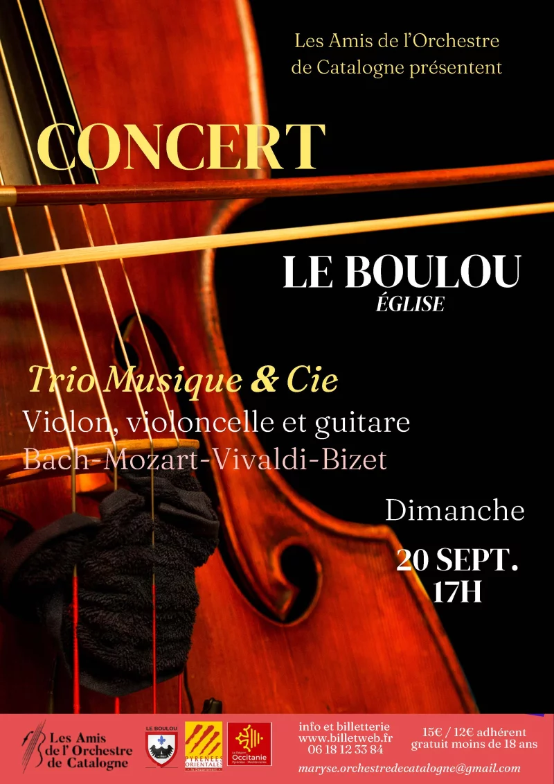 CONCERT TRIO MUSIQUE & CIE