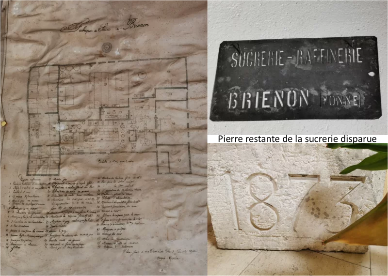 Circuit véhiculé "Brienon, terre de sucre"