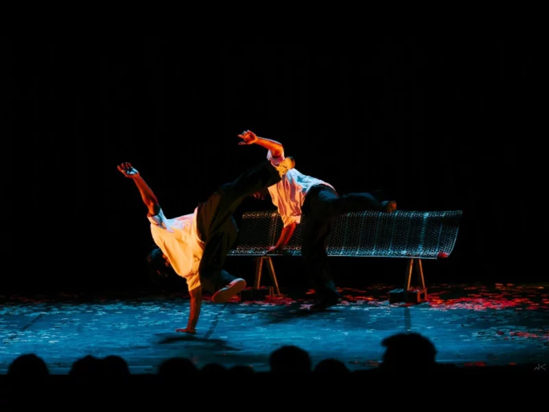 Spectacle de danse "Le lièvre et la tortue"