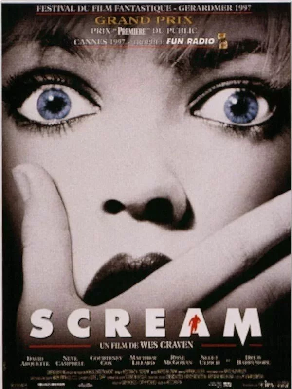 TERREUR NOCTURNE >>> SCREAM