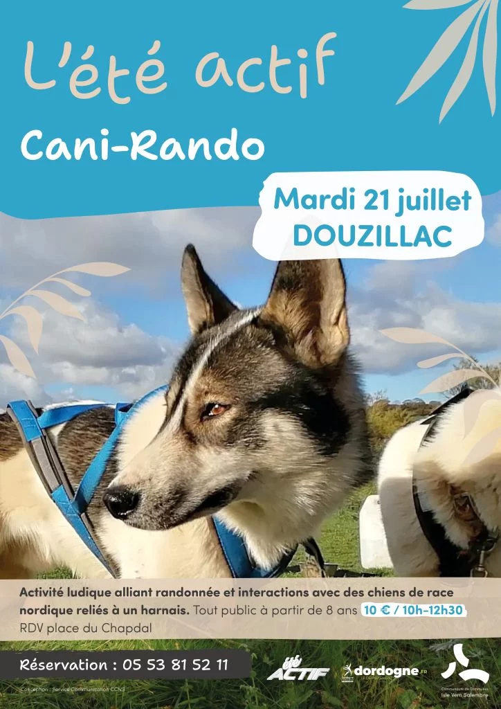 Été actif : Cani-rando