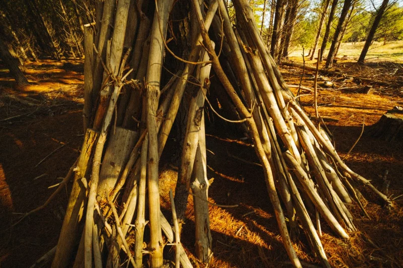 Atelier réalisation d'un abri "tipi"