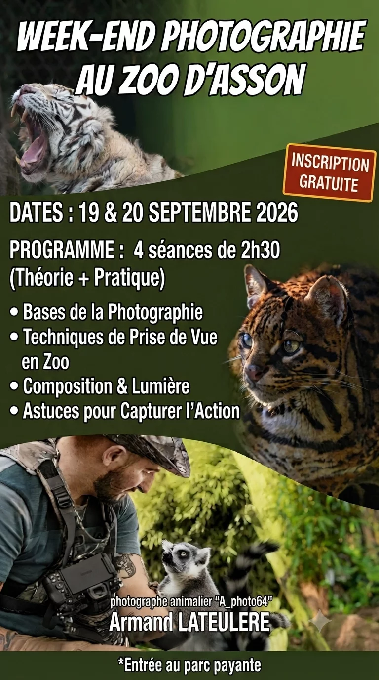 Cours gratuit de photographie animalière