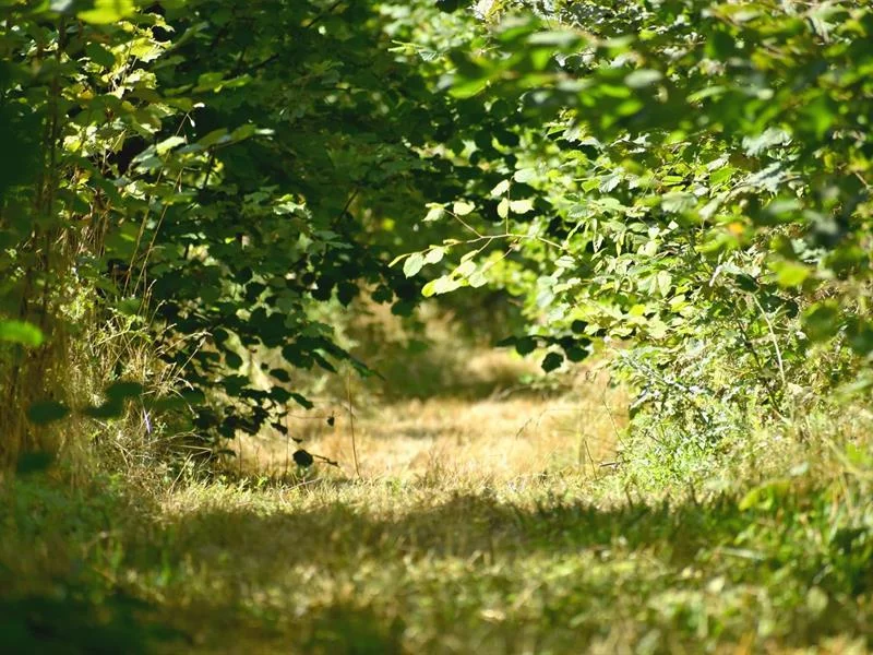 Mundat : Entres les lignes