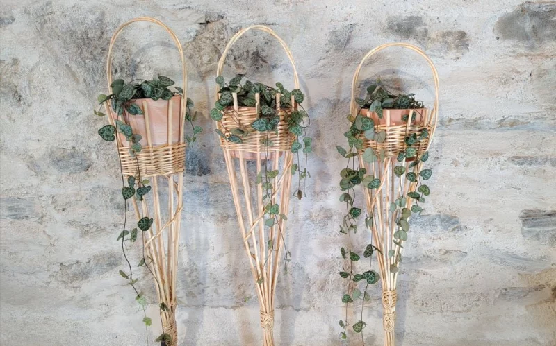 Atelier Suspension pour plante retombante
