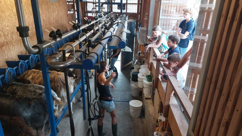 Matinée famille à la ferme Bibane