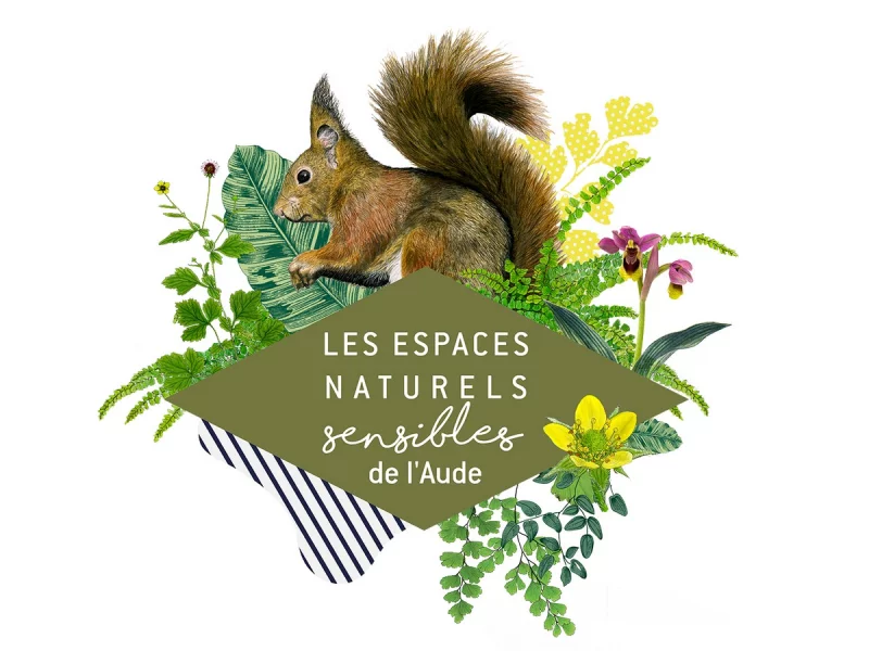 ENS - DE L’OURS DU ROUSSILLON À L’OURS BRUN