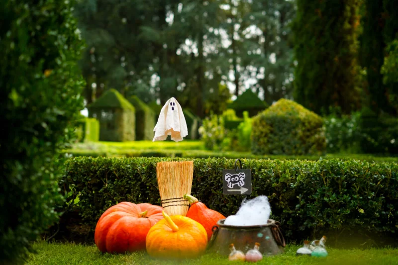 Les vacances d’automne aux Jardins d’Eyrignac : le défi de Carabosse