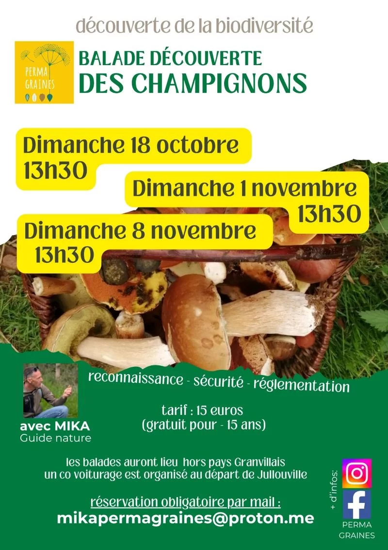 Balade découverte des champignons comestibles