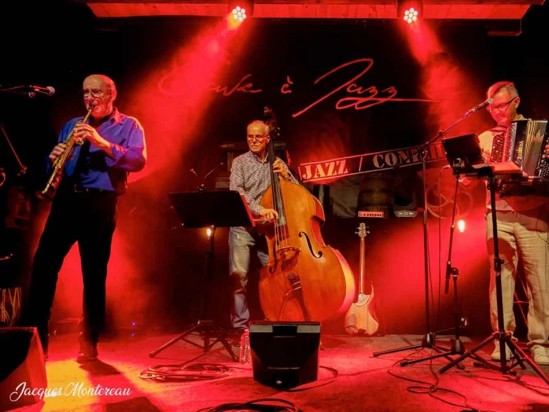 MUSICOLORIS TRIO : WORLD MUSIC