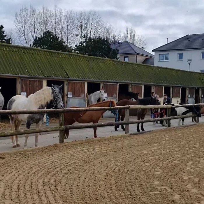 Portes ouvertes à Courseulles équitation