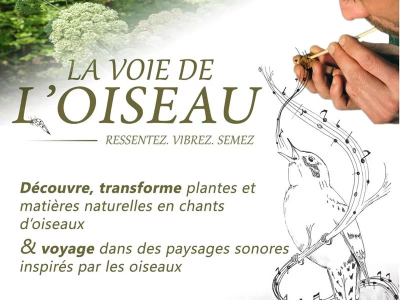 Atelier - La voie de l'Oiseau