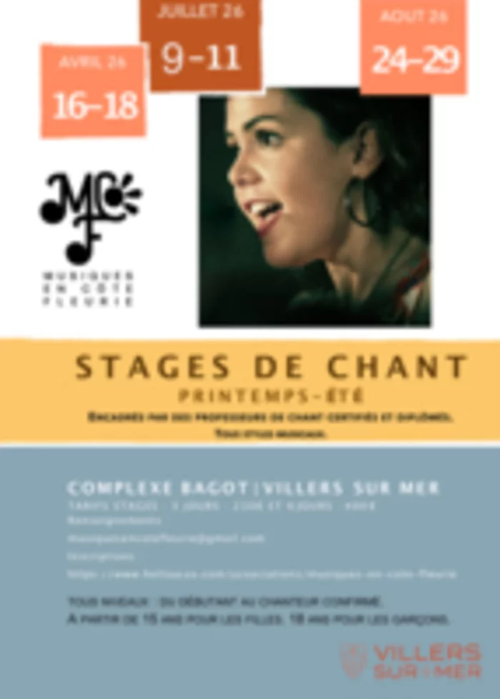 Stage d'été