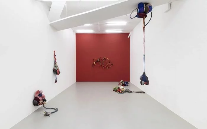Cœur sauvage. Sonia Gomes