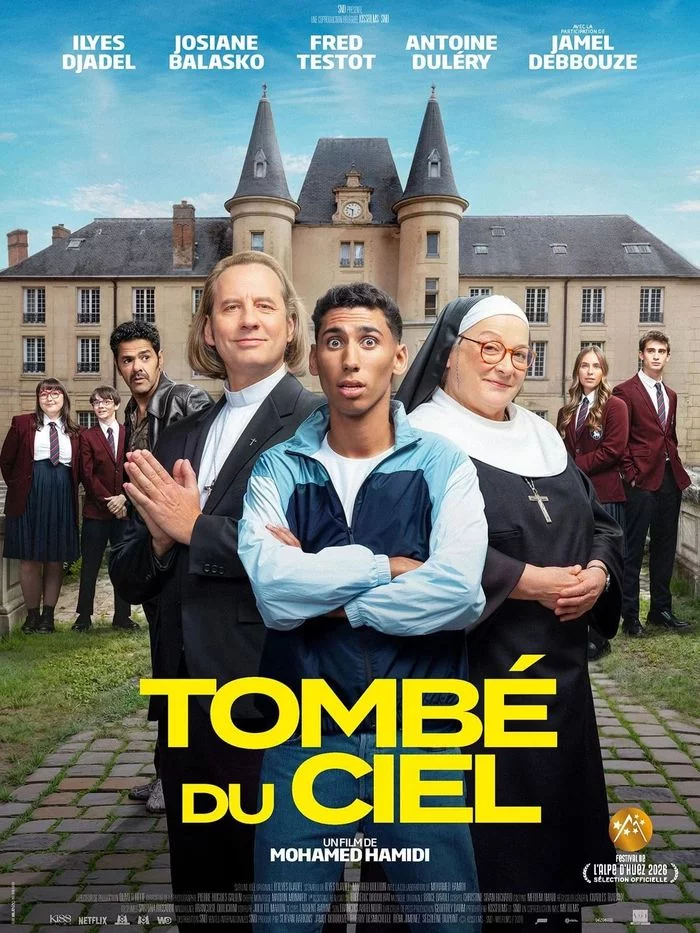 Cinéma tout public : Tombé du ciel