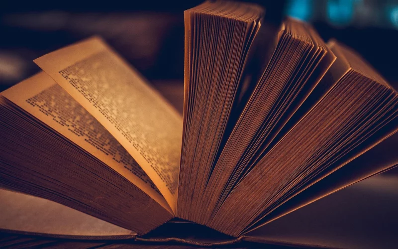 Fête du livre