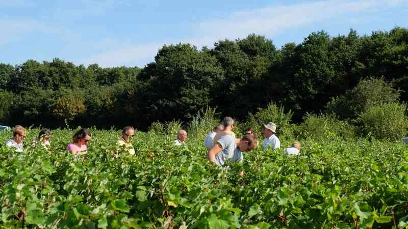 Vignes Vins Randos à Thoré-la-Rochette