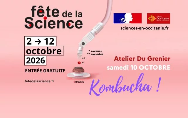 FAIS TON KOMBUCHA !