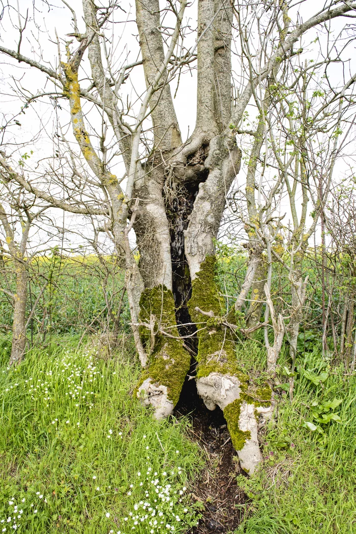 Rando bocagère