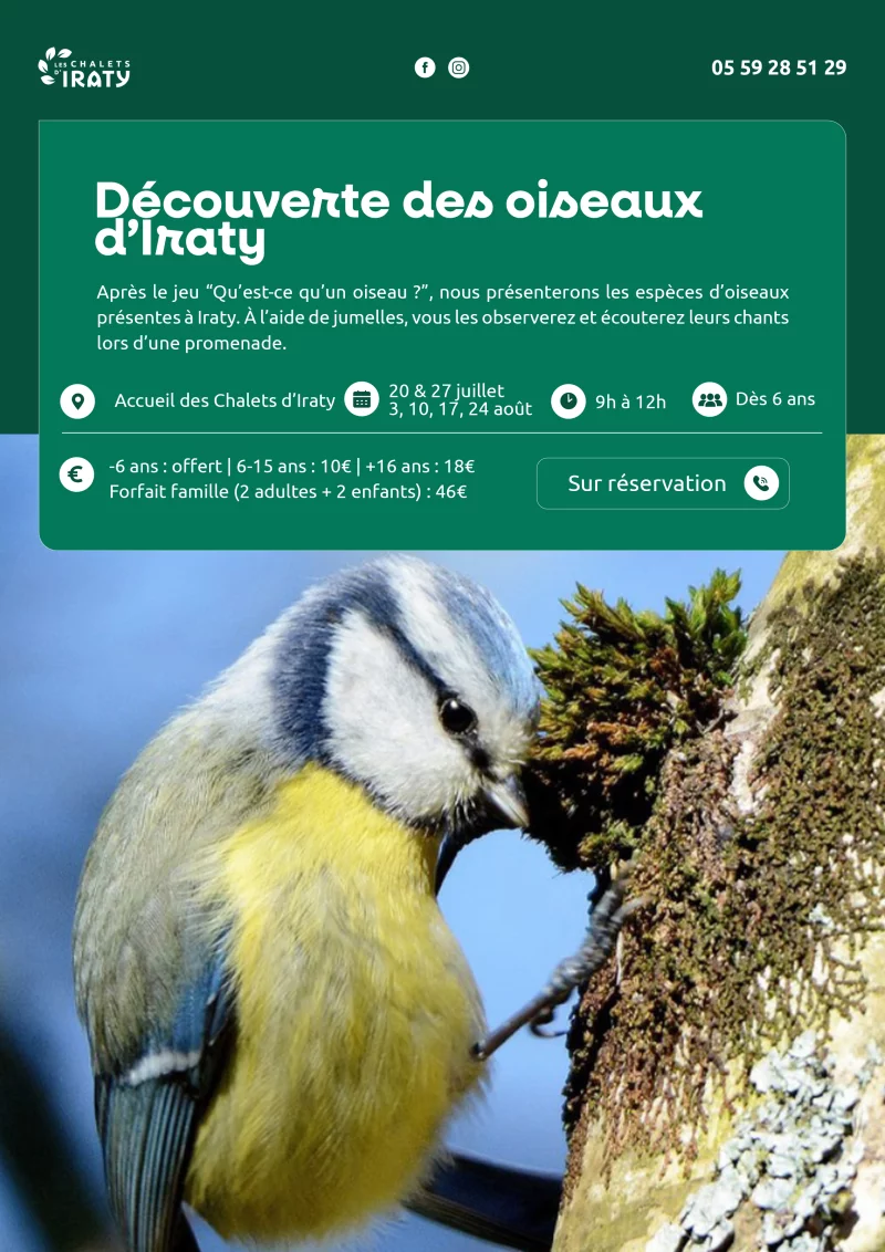 À la découverte des oiseaux