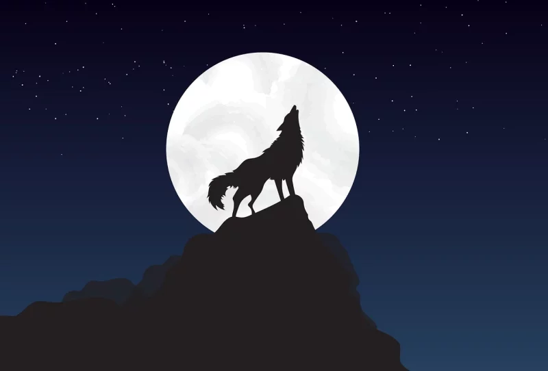 Loup-Garou after work