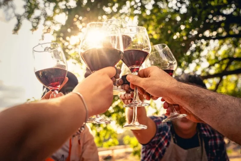 DÉGUSTATION VIGNERONNE AVEC LE DOMAINE THUNEVIN CALVET