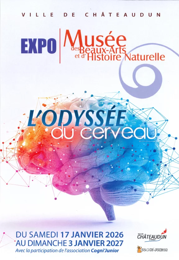 Cerveau à la carte ... à ma carte !