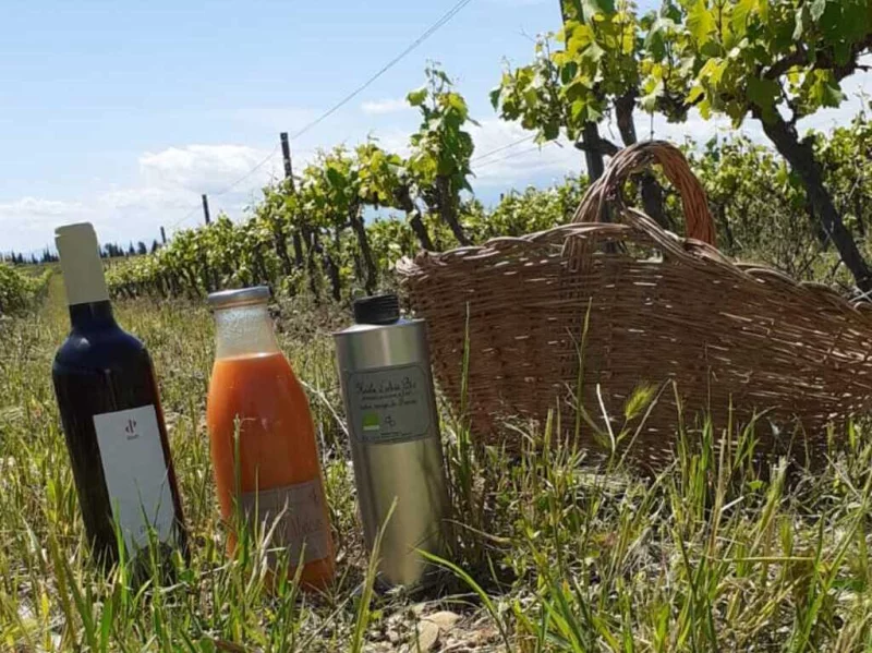 VISITE ET DÉGUSTATION AU DOMAINE PAGNON