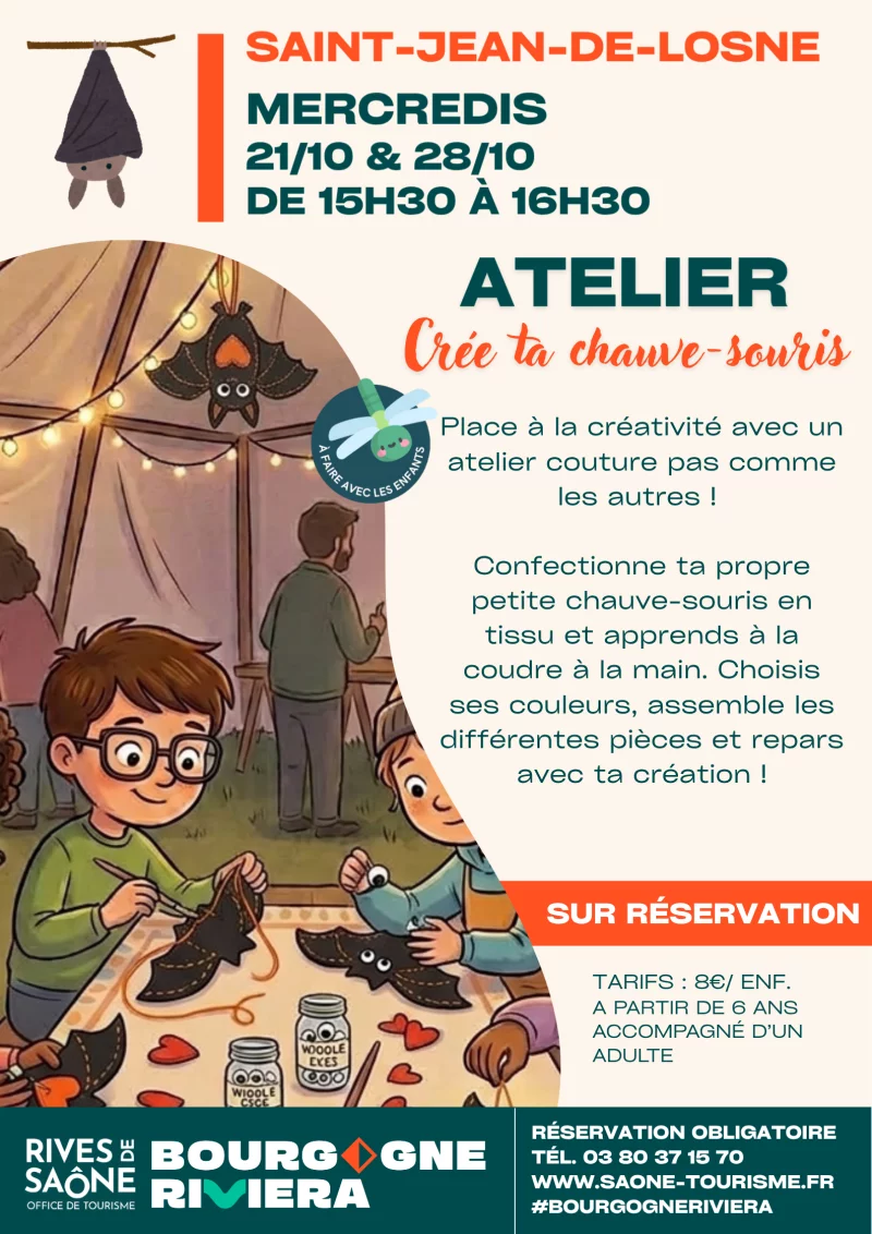 Club des curieux - Crée ta chauve souris